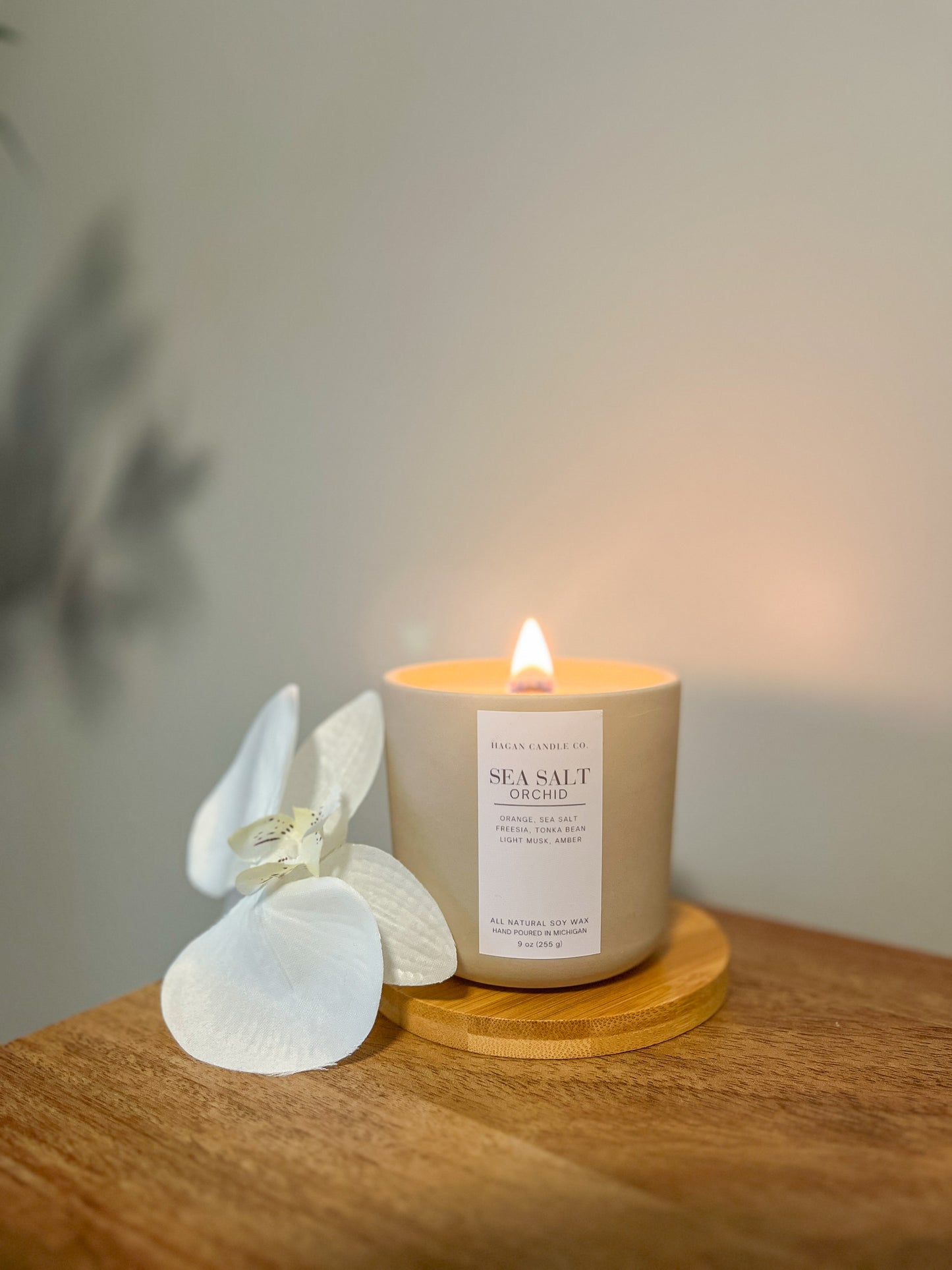 Sea Salt Orchid